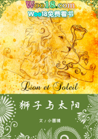 狮子与太阳小说免费阅读晋江